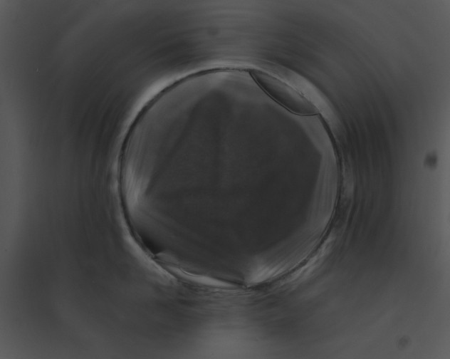 X0000095540958200801041306