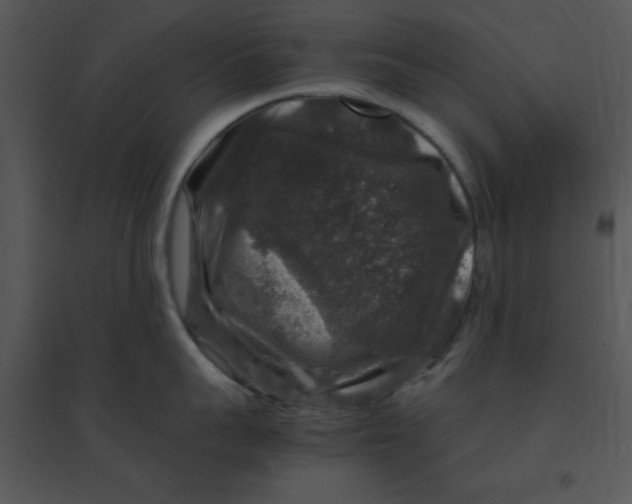 X0000095540959200801041306