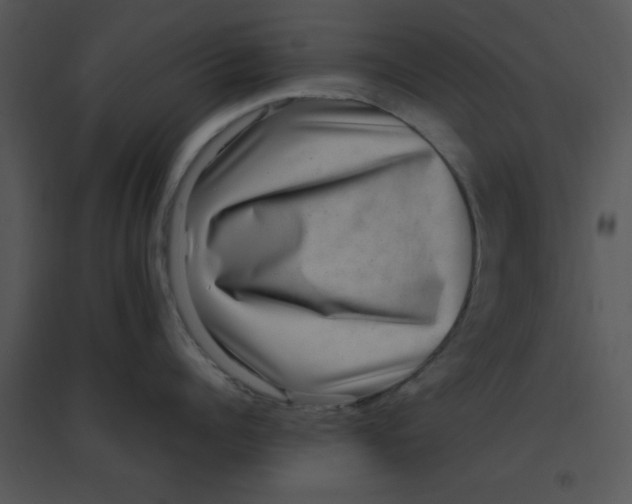 X0000095540960200801041306