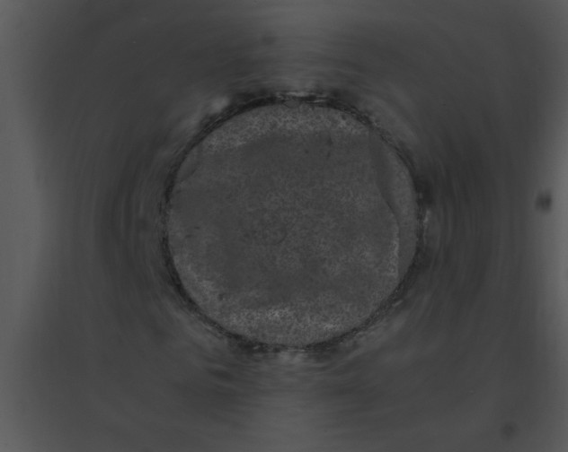 X0000095540961200801041306