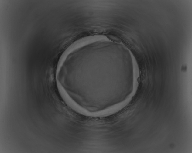 X0000095540962200801041306