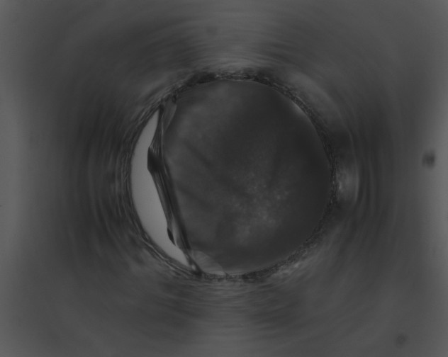 X0000095540964200801041305