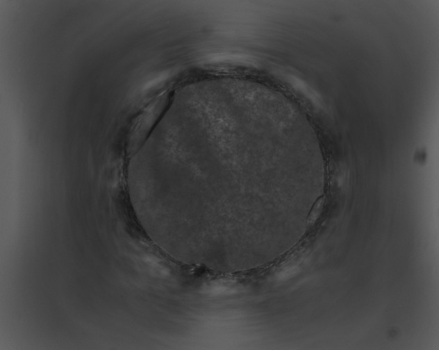 X0000095540965200801041305