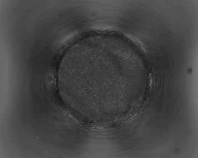 X0000095540966200801041305