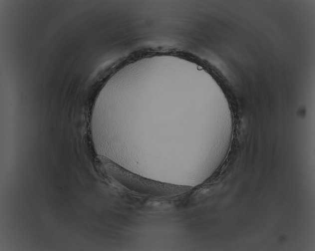 X0000095540967200801041305