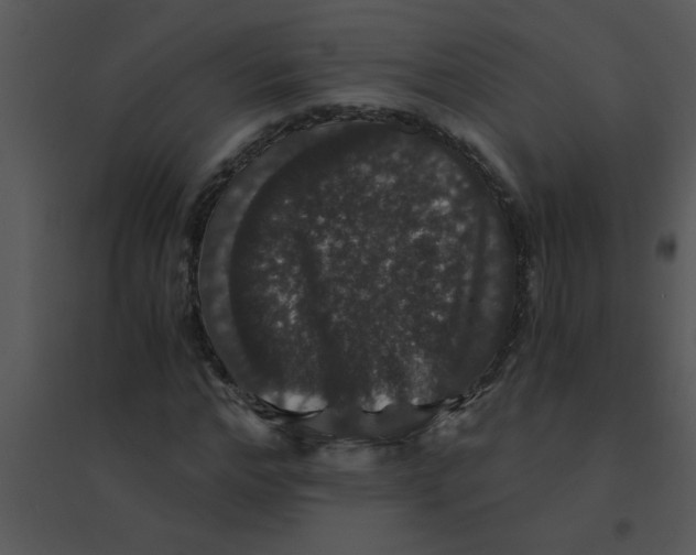 X0000095540968200801041305