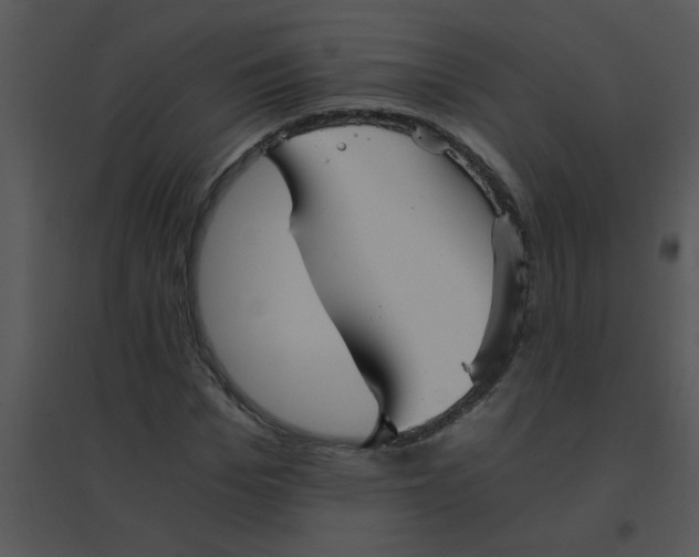 X0000095540969200801041305