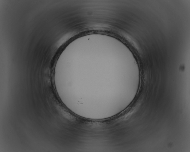 X0000095540970200801041305