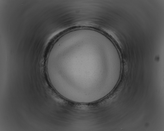 X0000095540971200801041305