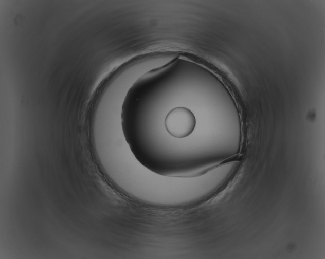 X0000095540973200801041305