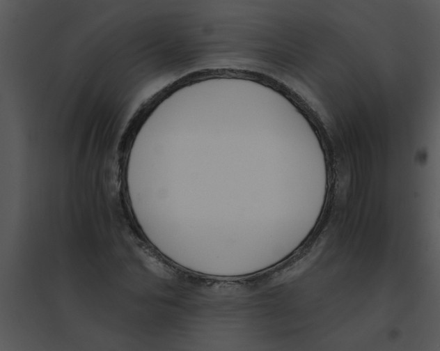 X0000095540974200801041305