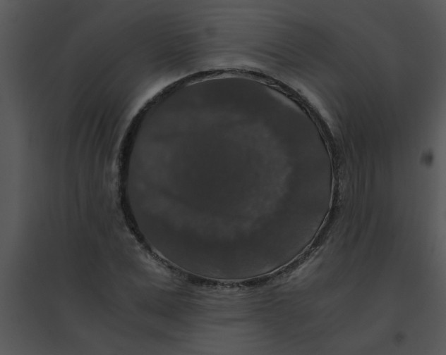 X0000095540975200801041305