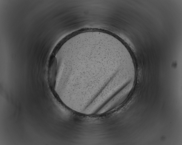 X0000095540976200801041305