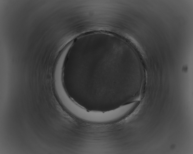 X0000095540977200801041305