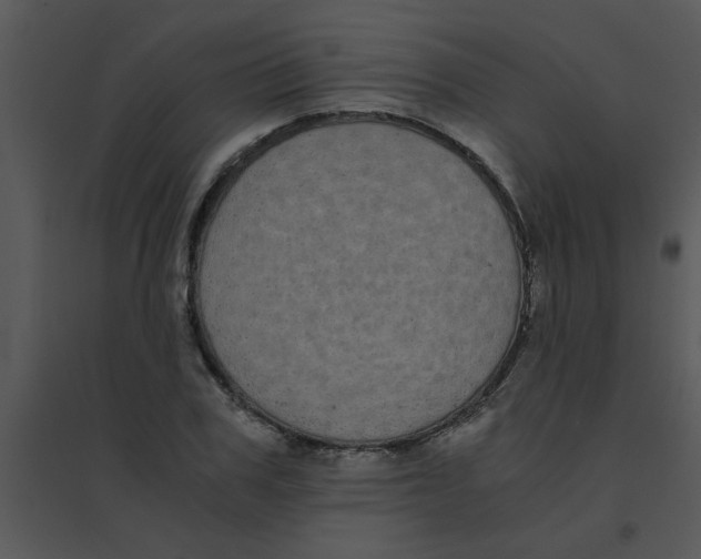 X0000095540979200801041305