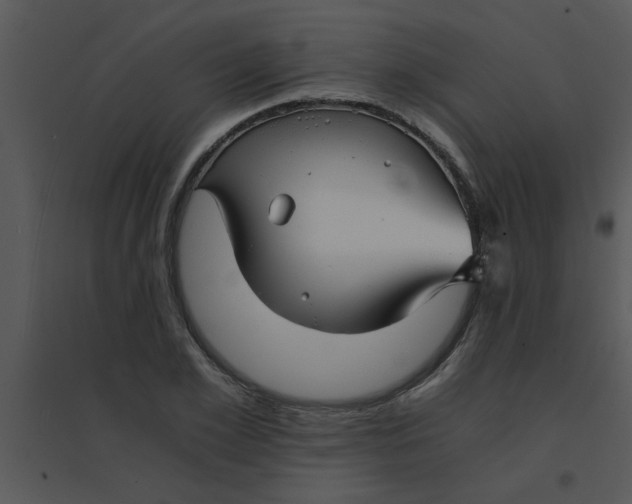 X0000095540981200801041305