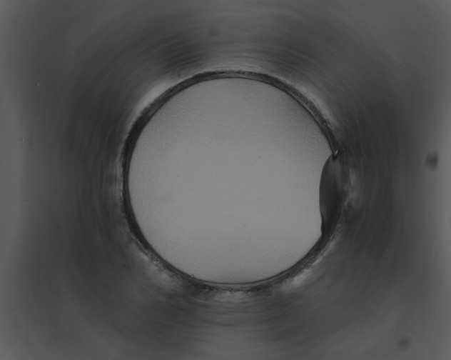 X0000095540982200801041305