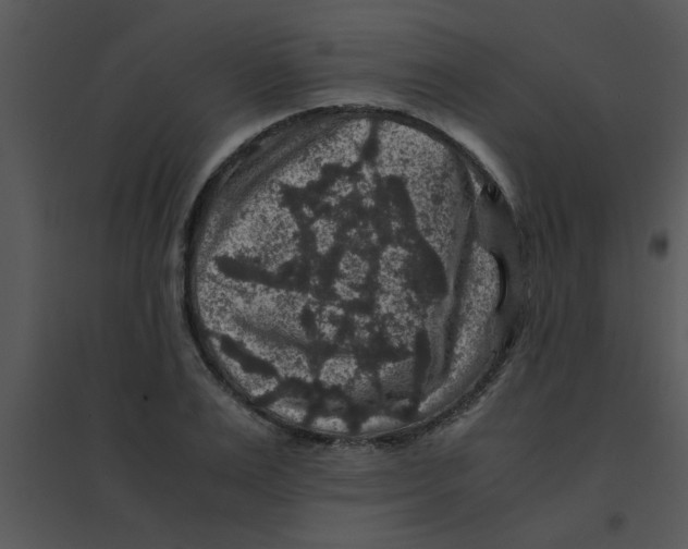 X0000095540983200801041305