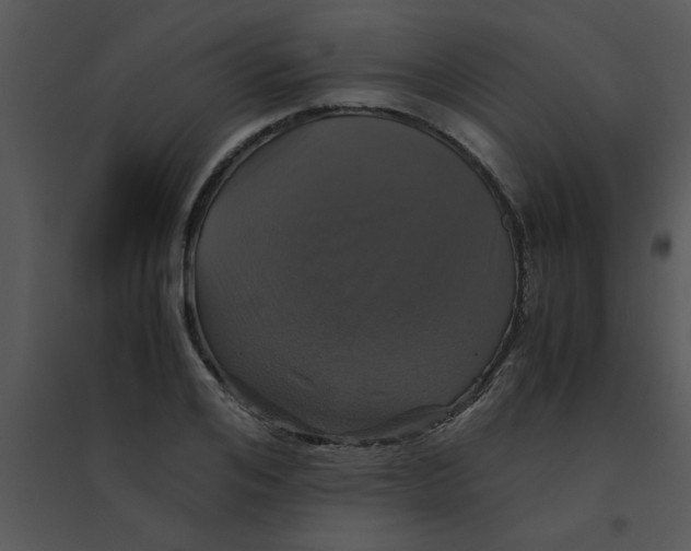 X0000095540984200801041305