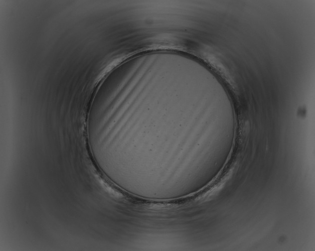 X0000095540985200801041305