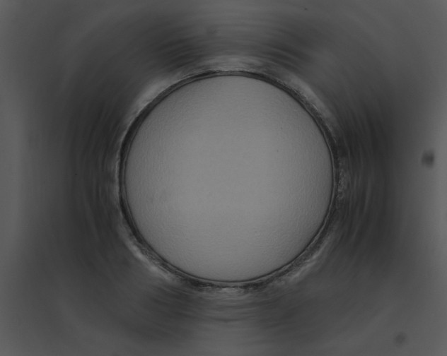 X0000095540986200801041305