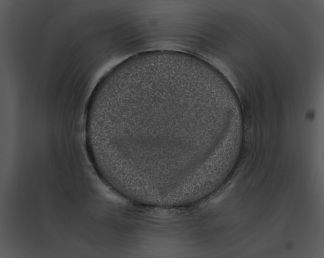 X0000095540987200801041305