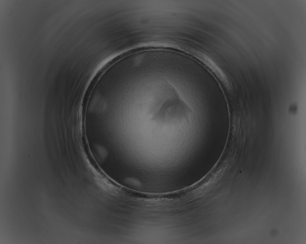 X0000095540988200801041305