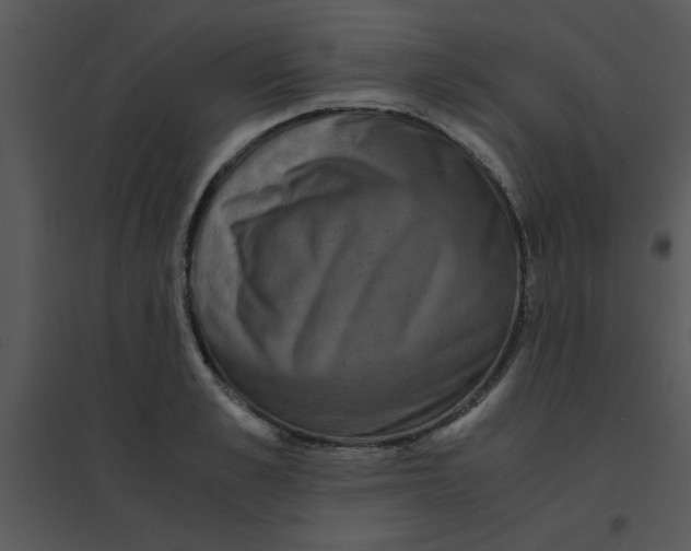 X0000095540989200801041305