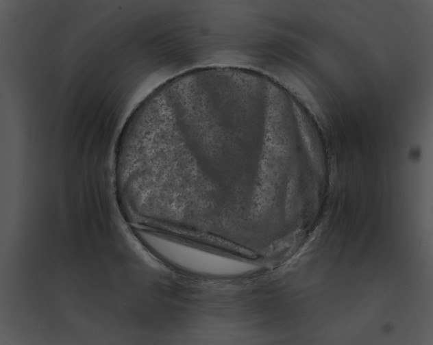 X0000095540990200801041305