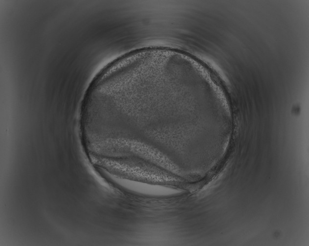 X0000095540991200801041305