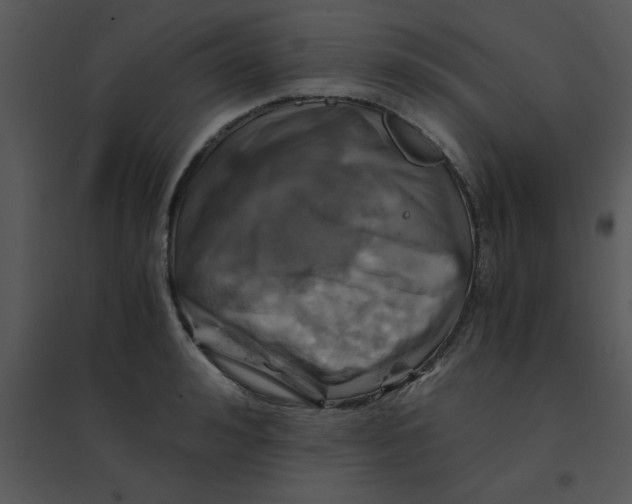 X0000095540992200801041305