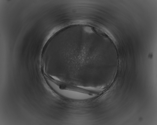 X0000095540994200801041305