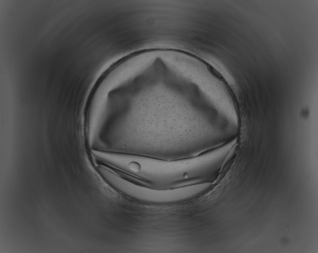 X0000095540996200801041305