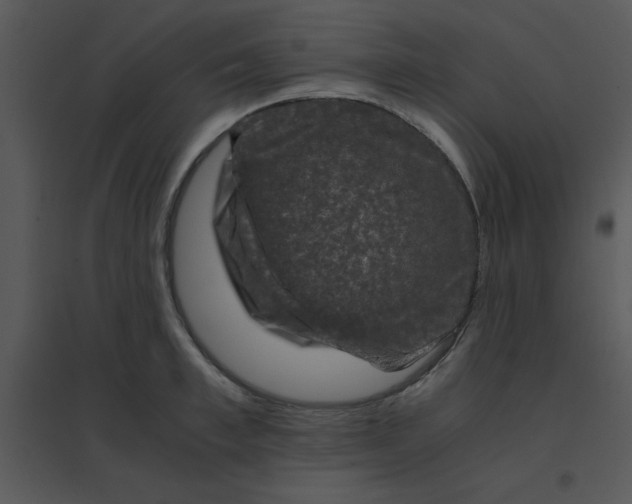 X0000095540997200801041305