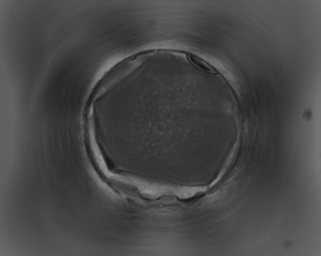 X0000095540998200801041305