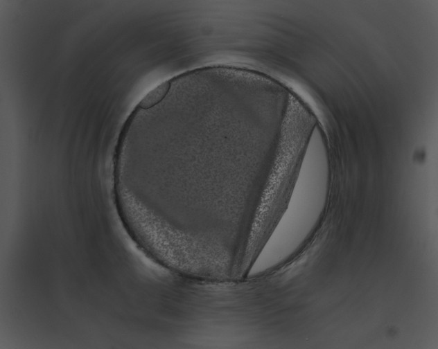 X0000095540999200801041305