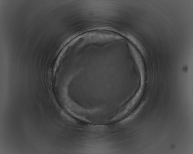 X0000095541001200801041305