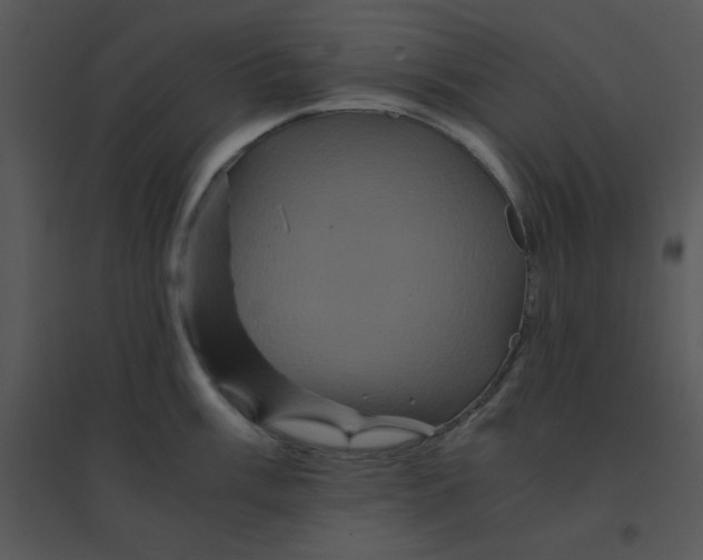 X0000095541003200801041305