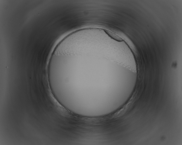 X0000095541004200801041305