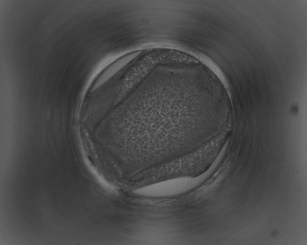 X0000095541005200801041305