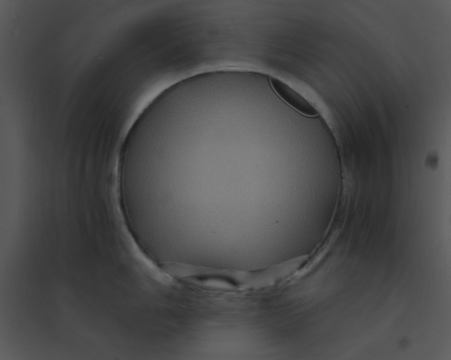 X0000095541006200801041305