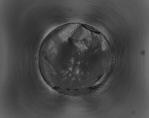 X0000095541007200801041305