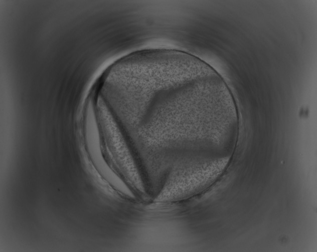 X0000095541008200801041305