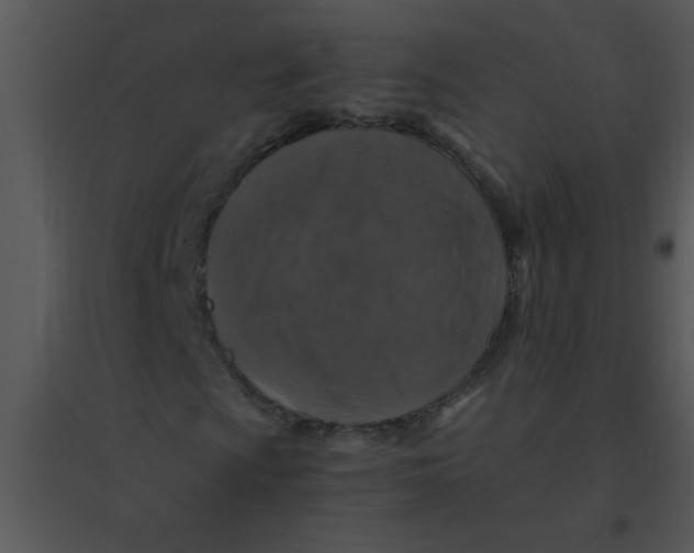 X0000095541009200801041304