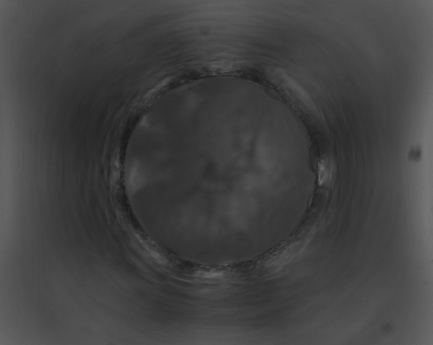 X0000095541011200801041304