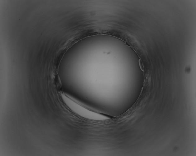 X0000095541012200801041304