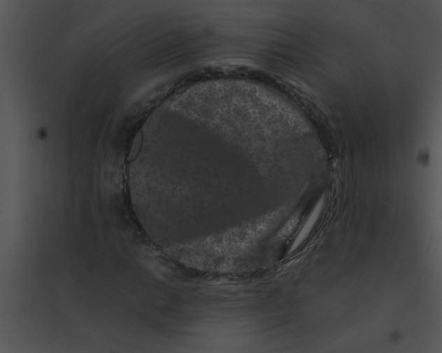 X0000095541014200801041304