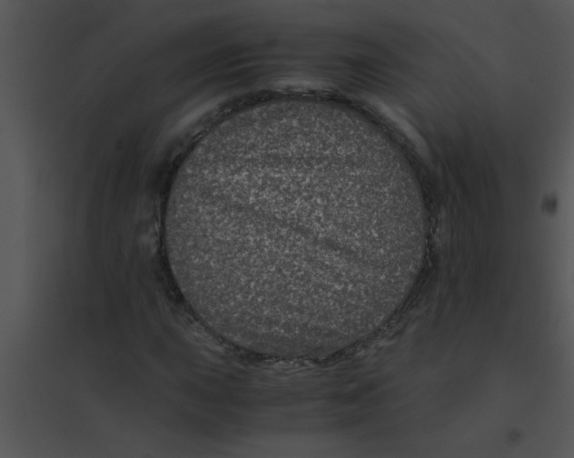 X0000095541015200801041304