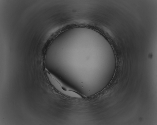 X0000095541016200801041304