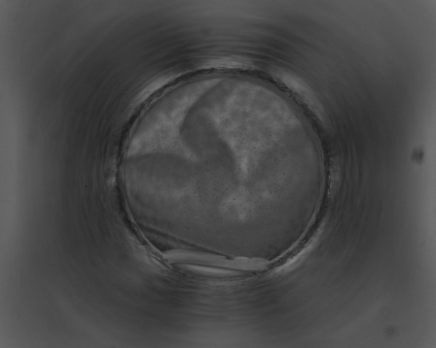 X0000095541017200801041304